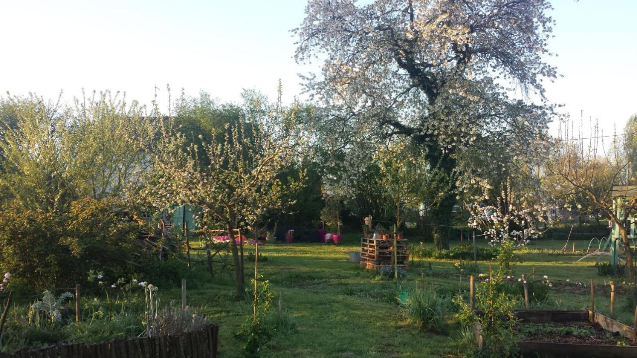 Chambre d'hôtes à la campagne Nevers Challuy Esterno foto